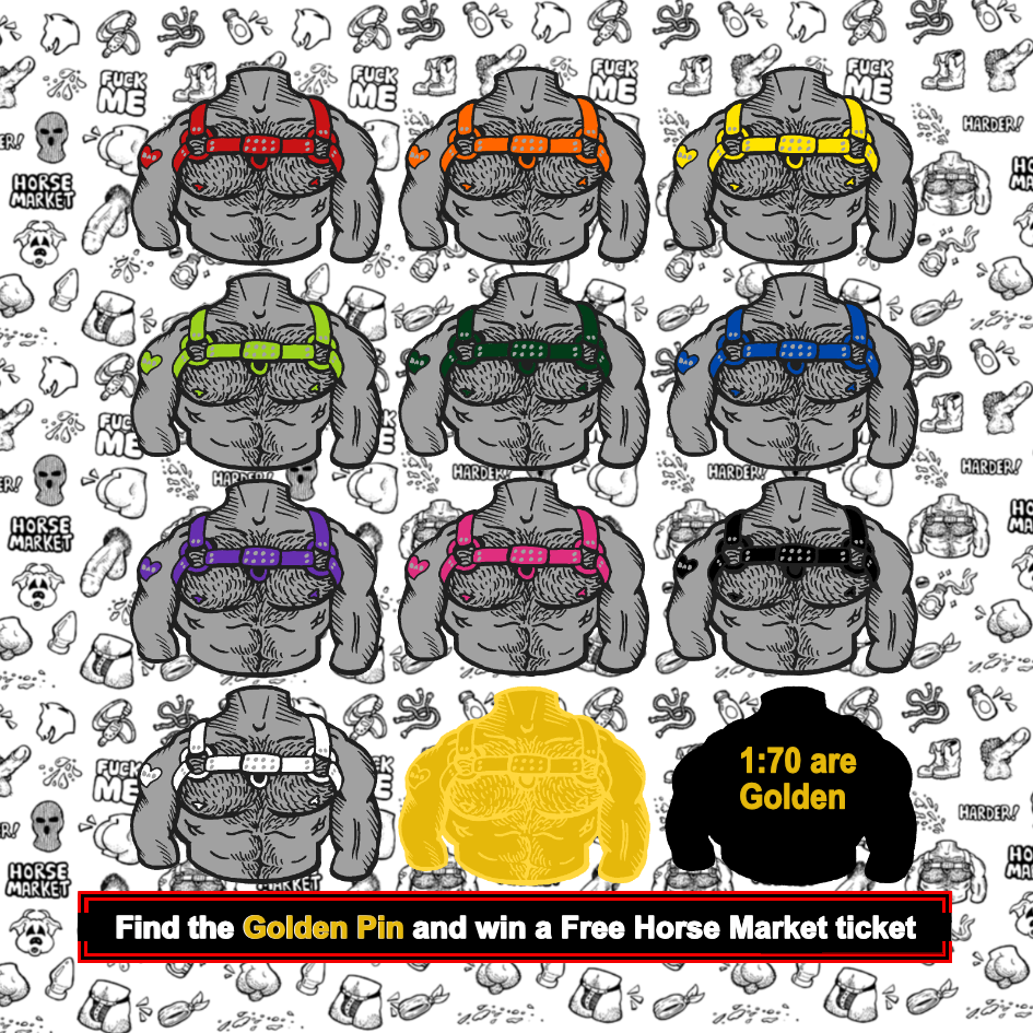 Horse Market Mystery Chest Harness Pin Pack